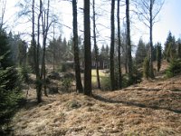 Grunden 2003